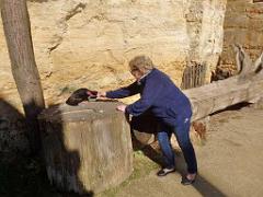 149 BIO PARC DE DOUE LA FONTAINE 6- 2016_000005